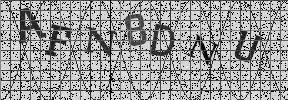 Visual Confirmation Security Code