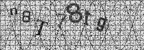 Visual Confirmation Security Code