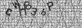 Visual Confirmation Security Code