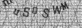 Visual Confirmation Security Code