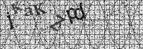 Visual Confirmation Security Code