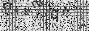 Visual Confirmation Security Code