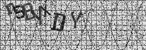 Visual Confirmation Security Code