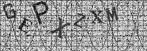 Visual Confirmation Security Code