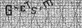 Visual Confirmation Security Code