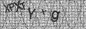 Visual Confirmation Security Code
