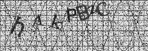 Visual Confirmation Security Code