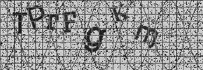 Visual Confirmation Security Code