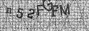 Visual Confirmation Security Code