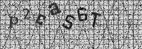 Visual Confirmation Security Code