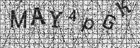 Visual Confirmation Security Code