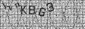Visual Confirmation Security Code