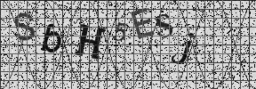 Visual Confirmation Security Code