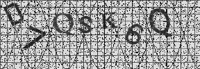 Visual Confirmation Security Code