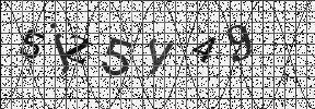 Visual Confirmation Security Code