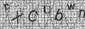 Visual Confirmation Security Code
