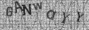 Visual Confirmation Security Code