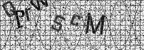 Visual Confirmation Security Code