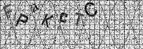 Visual Confirmation Security Code