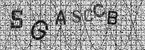 Visual Confirmation Security Code