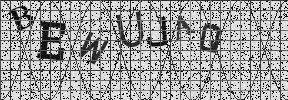 Visual Confirmation Security Code