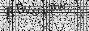 Visual Confirmation Security Code