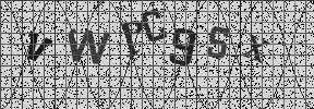 Visual Confirmation Security Code