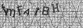 Visual Confirmation Security Code