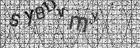 Visual Confirmation Security Code
