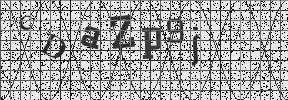 Visual Confirmation Security Code
