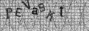 Visual Confirmation Security Code