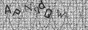 Visual Confirmation Security Code