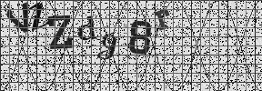 Visual Confirmation Security Code