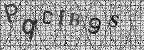 Visual Confirmation Security Code