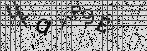 Visual Confirmation Security Code