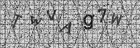 Visual Confirmation Security Code