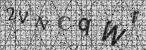 Visual Confirmation Security Code