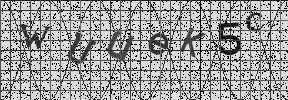 Visual Confirmation Security Code
