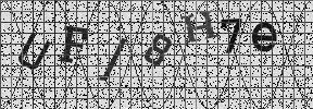 Visual Confirmation Security Code