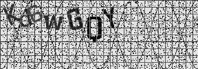 Visual Confirmation Security Code
