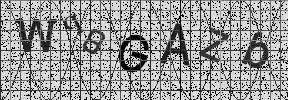 Visual Confirmation Security Code