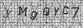 Visual Confirmation Security Code