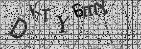 Visual Confirmation Security Code