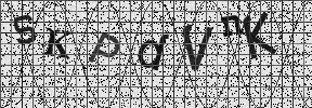 Visual Confirmation Security Code