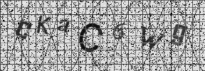 Visual Confirmation Security Code