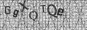 Visual Confirmation Security Code